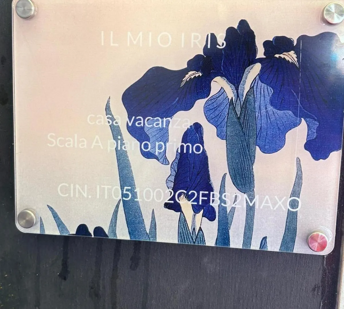 Il Mio Iris Apartment Arezzo Italy